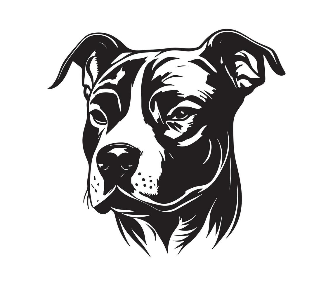 American pit bull terrier Face, Silhouettes Dog Face, black and white American pit bull terrier vector