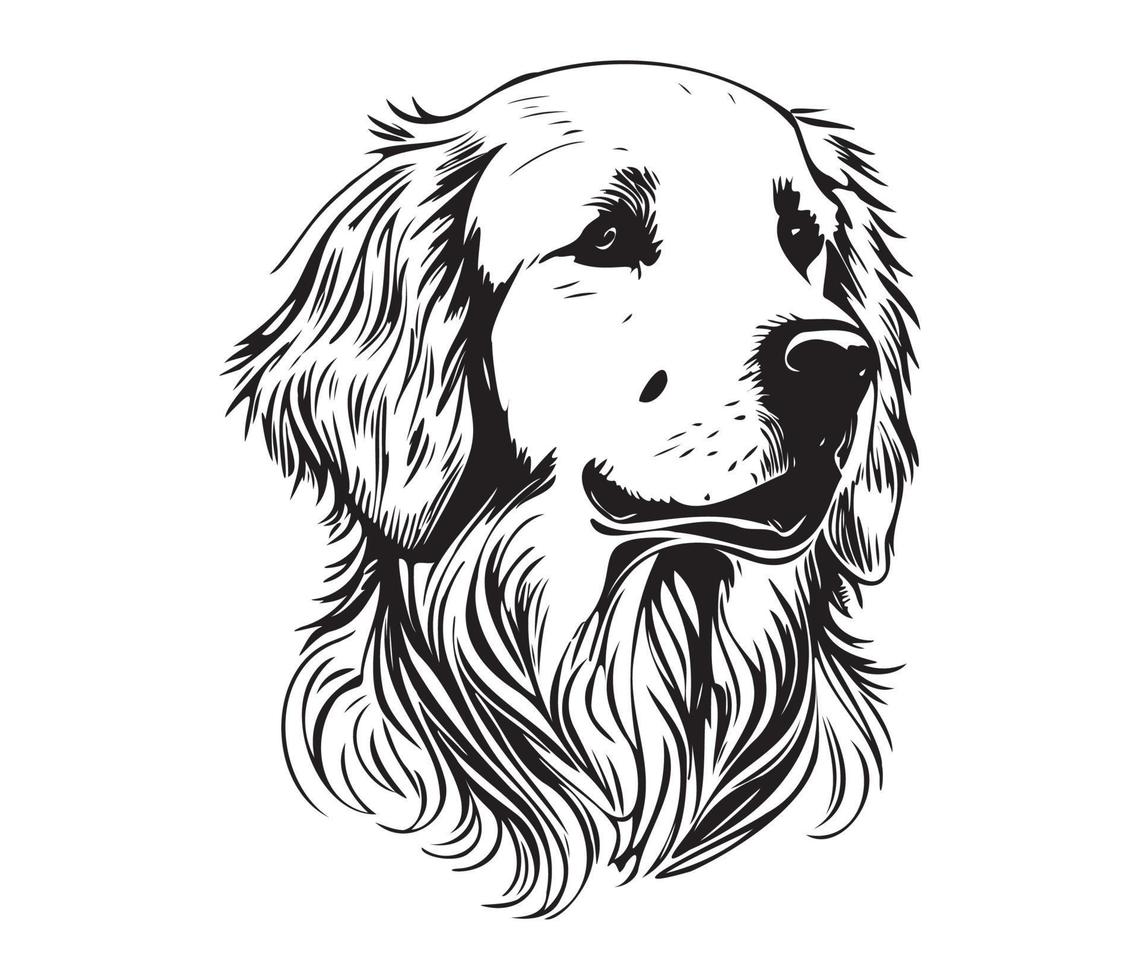 Golden Retriever Face, Silhouette Dog Face, black and white Golden Retriever vector