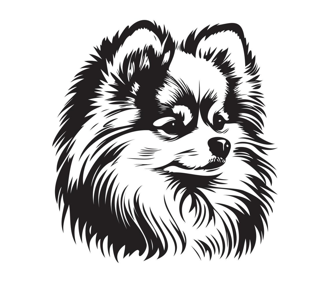 Pomeranian Face, Silhouette Dog Face, black and white Pomeranian vector