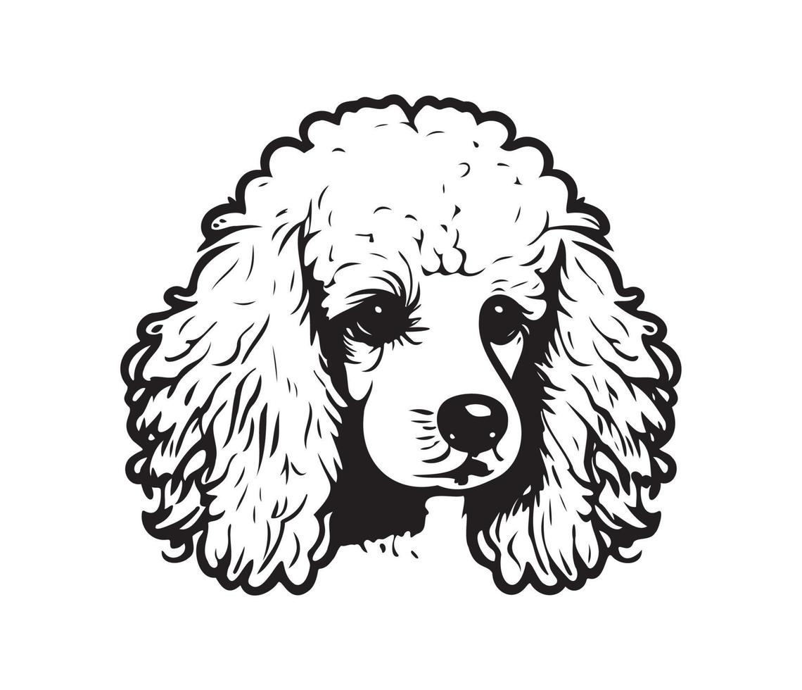 Poodle Face, Silhouette Dog Face, black and white Poodle vector