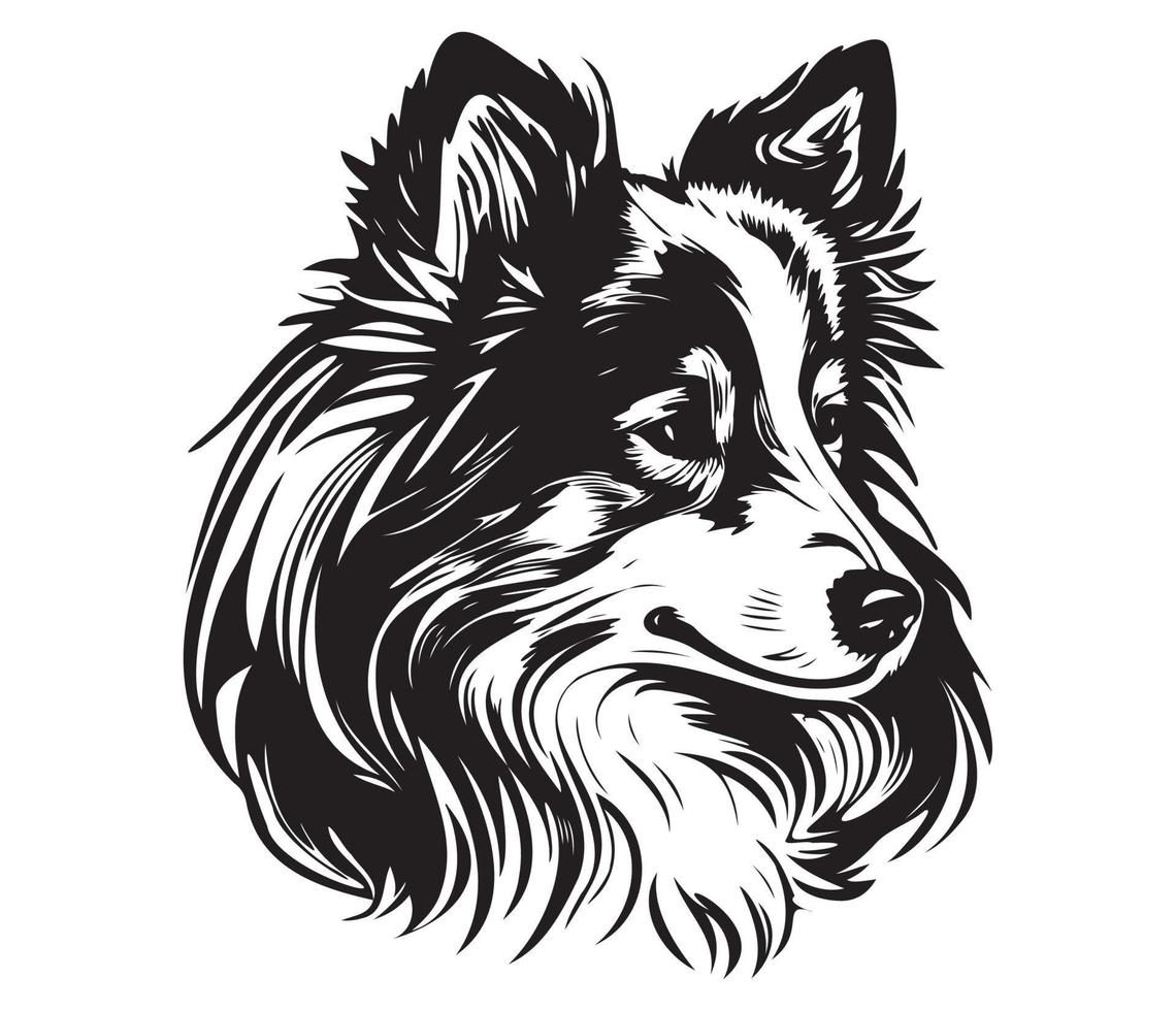 Shetland sheepdog Face, Silhouette Dog Face, black and white Shetland sheepdog vector