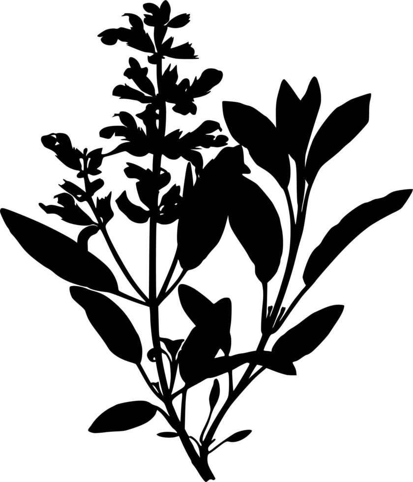 Vector silhouette of plant on white background