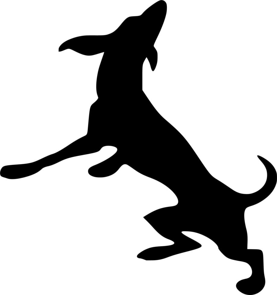 Vector silhouette of Dog on white background