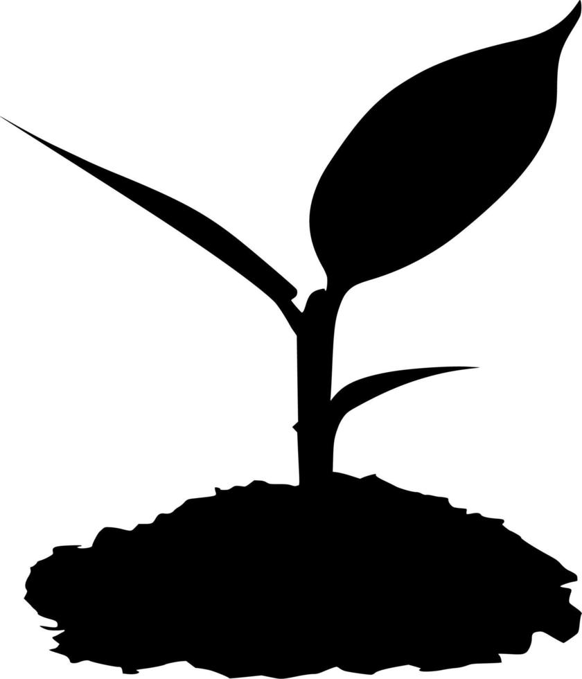 Vector silhouette of plant on white background