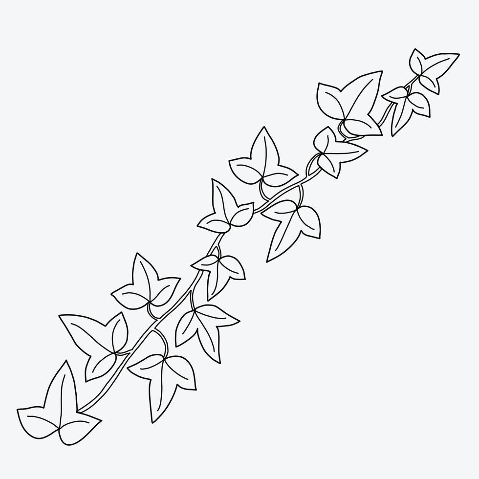 Floral ivy drawing decorative ornament flat design. vector