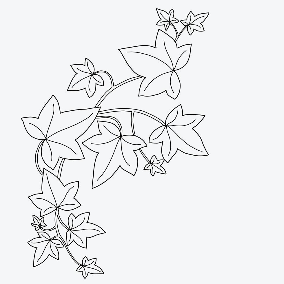 Floral ivy drawing decorative ornament flat design. vector