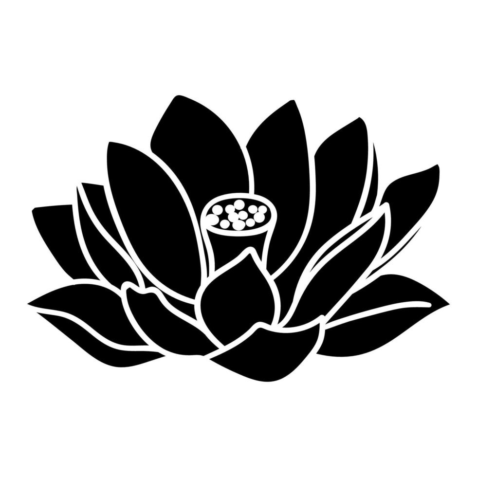 Big lotus flower. Lotus flower silhouette. Botanical collections vector