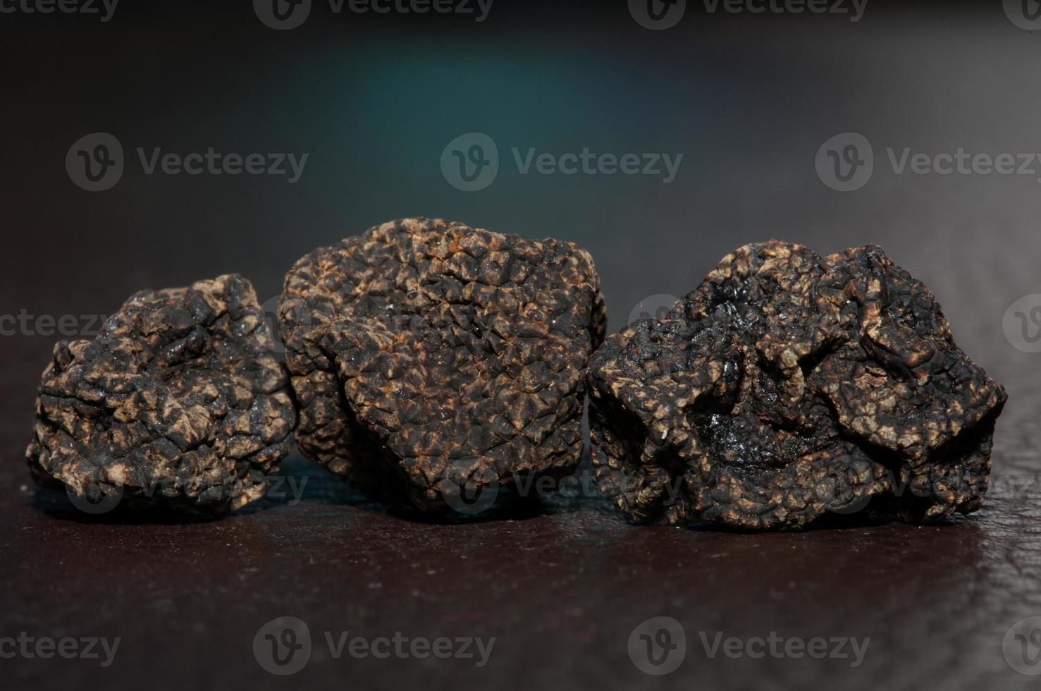 Wild fresh black winter truffle mushrooms close up background big size tuber instant print botanical stock photography photo