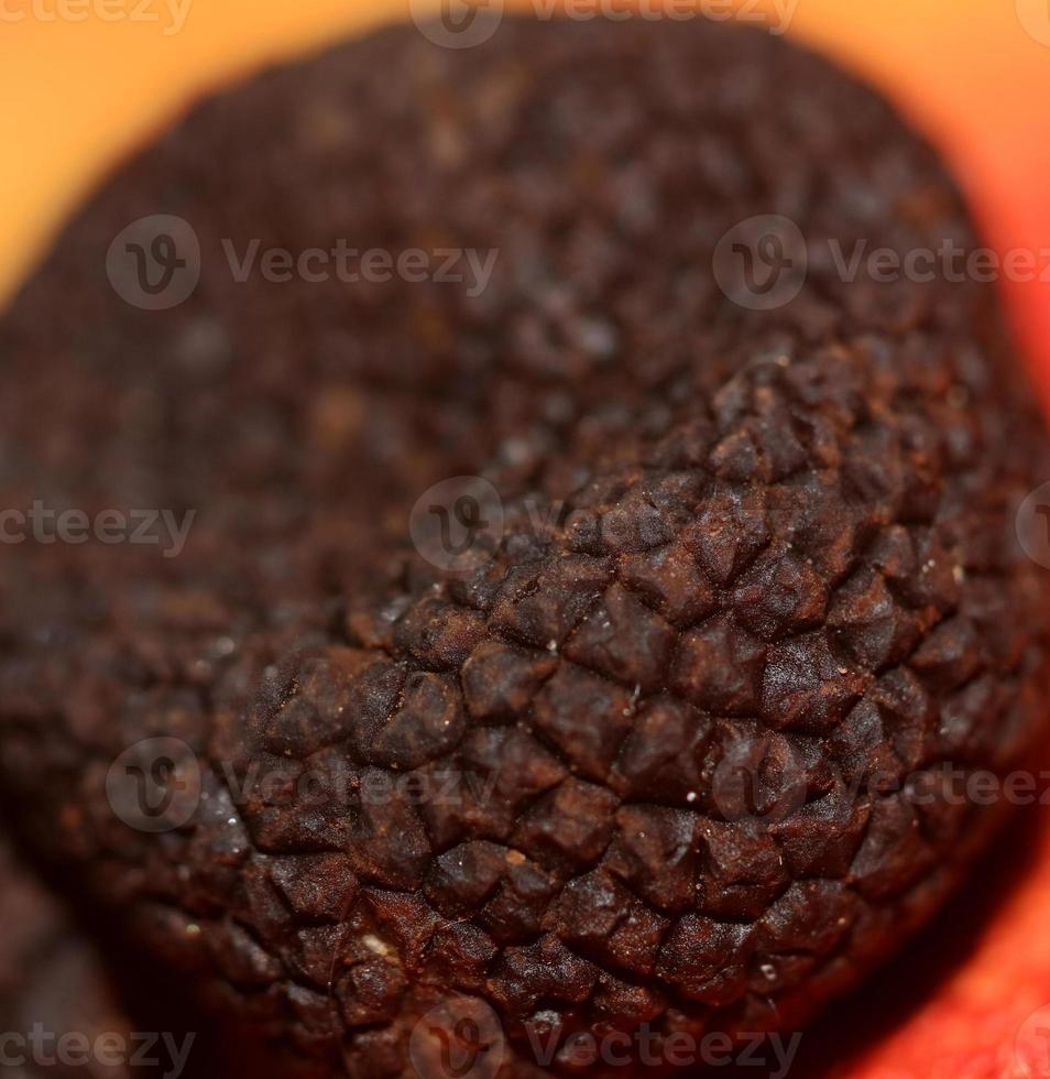 Black winter italian truffle mushroom macro background big size tuber aestivum instant print botanical stock photography photo