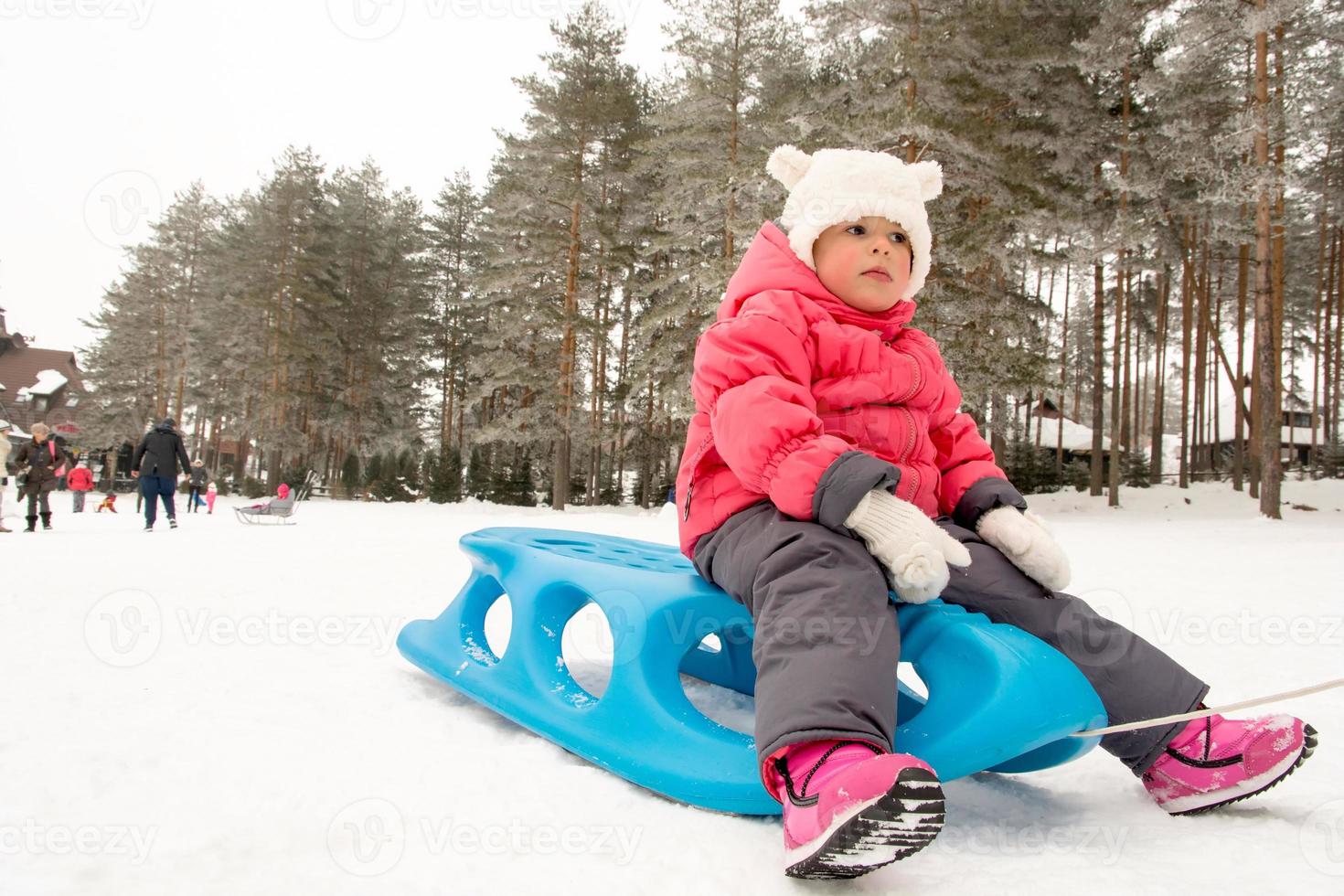 Child on sled photo