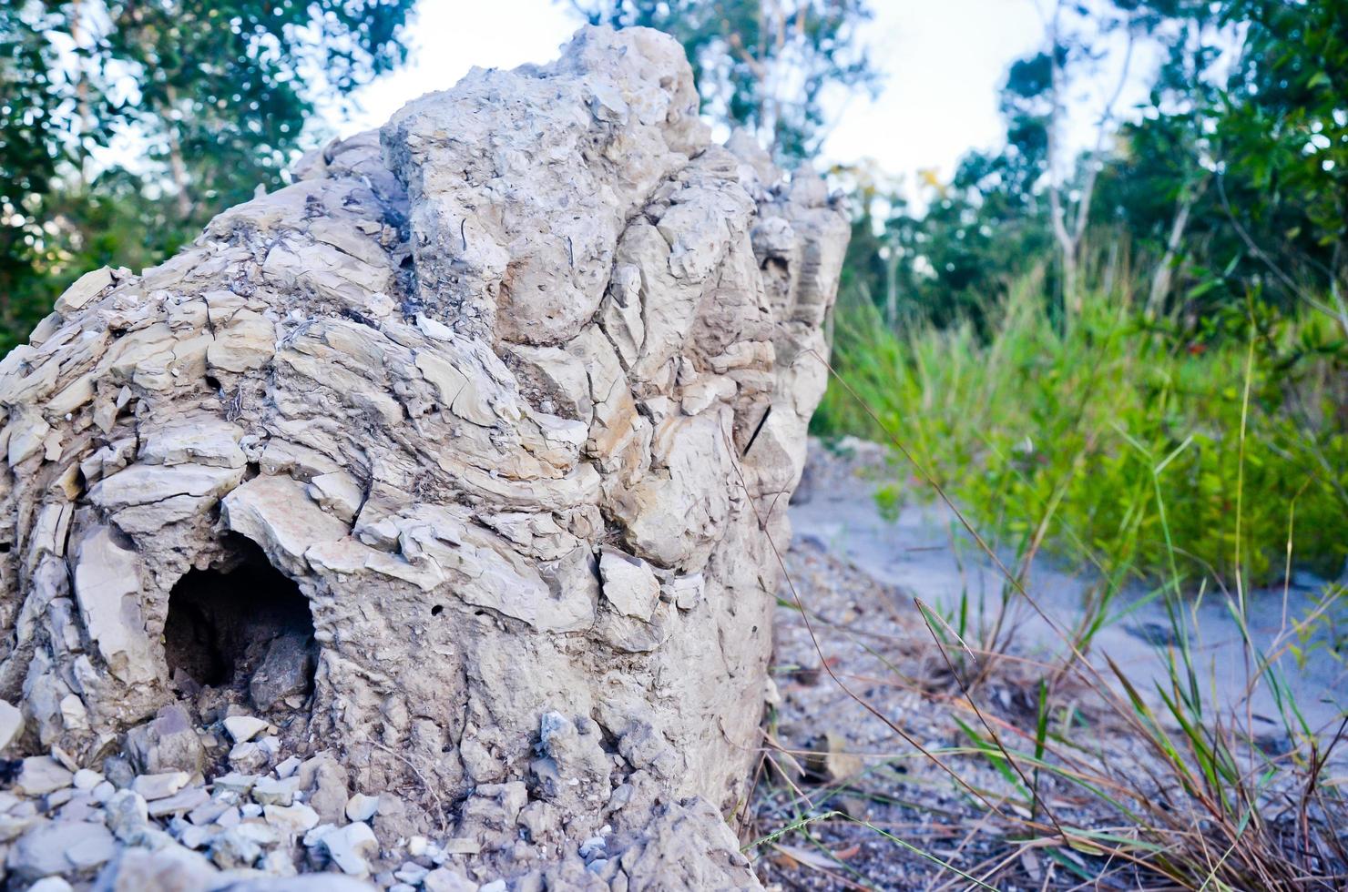 mounds of sand from anthill. photo