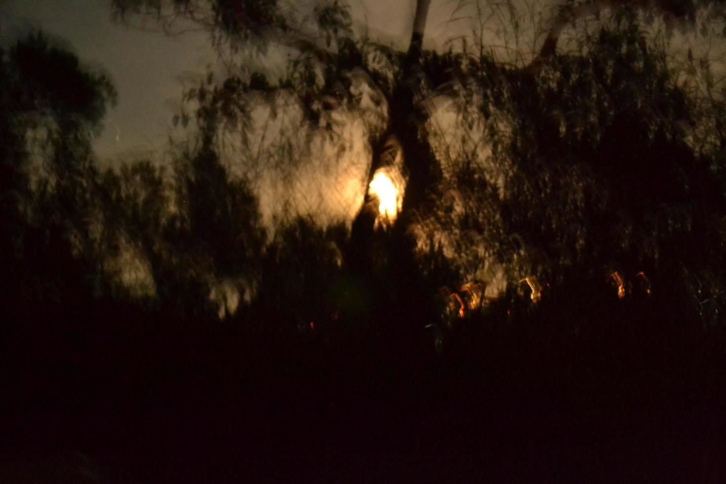 resumen y borroso antecedentes de luz de la luna en el bosque foto