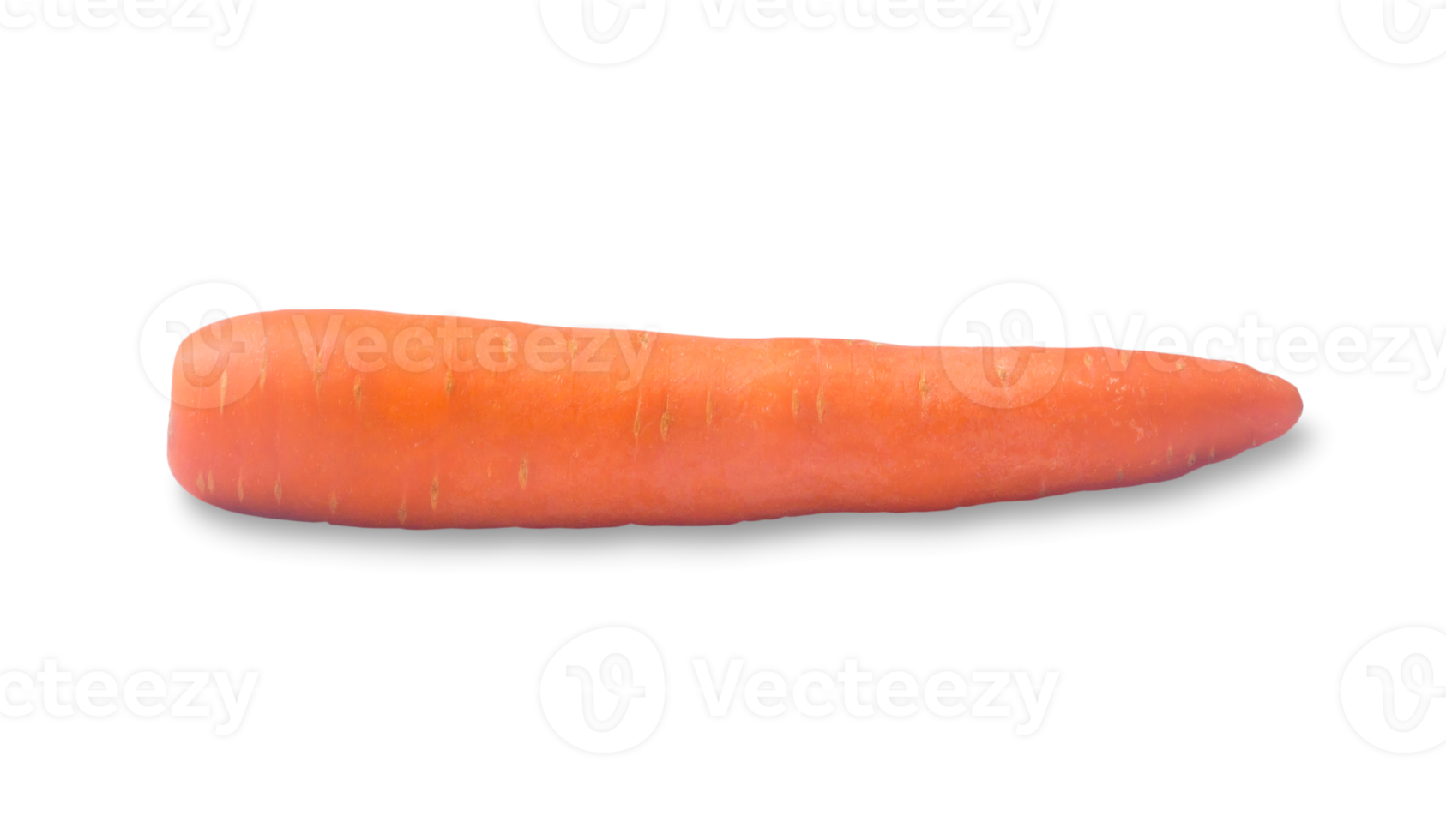 Single fresh orange carrot vegetable isolated with clipping path and shadow in png file format