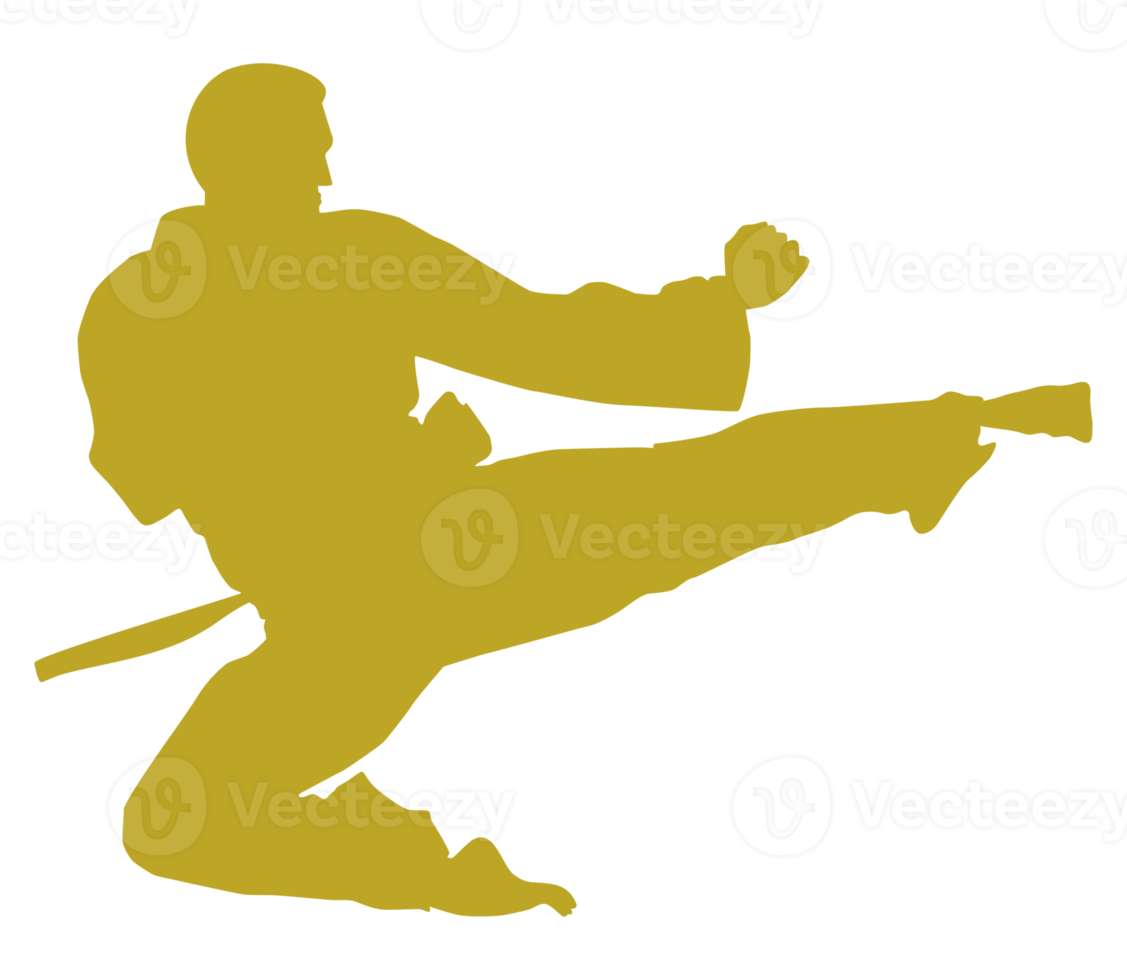 Silhouette of Martial Artist Kick, Taekwondo, Karate, Pencak Silat, Kungfu for Logo or Graphic Design Element. Format PNG