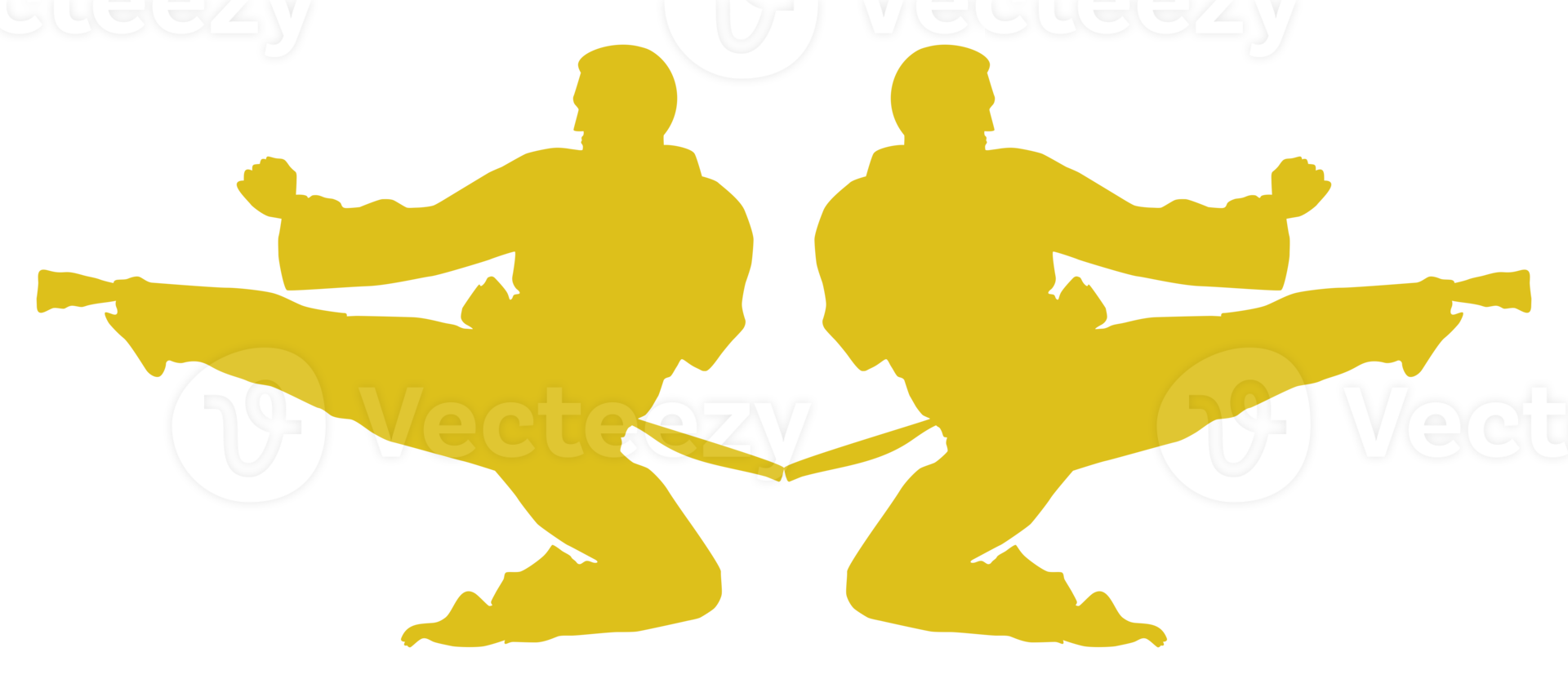 silhouette di marziale artista calcio, taekwondo, karatè, pencak sila, kungfu, per logo o grafico design elemento. formato png