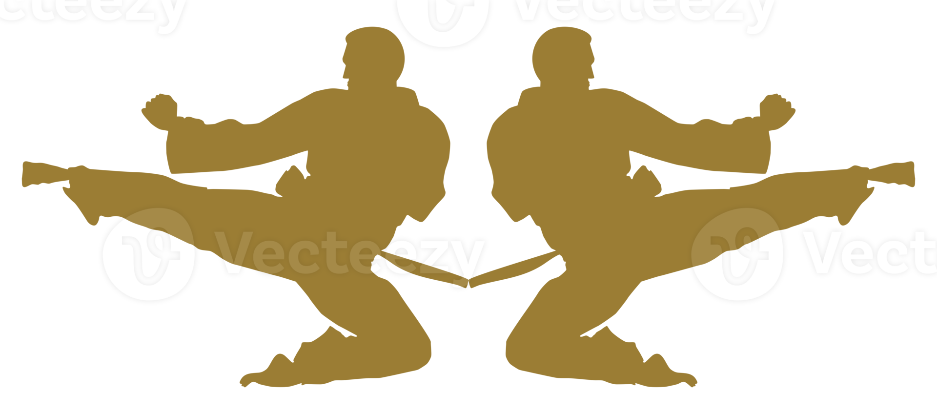 Silhouette of Martial Artist Kick, Taekwondo, Karate, Pencak Silat, Kungfu, for Logo or Graphic Design Element. Format PNG