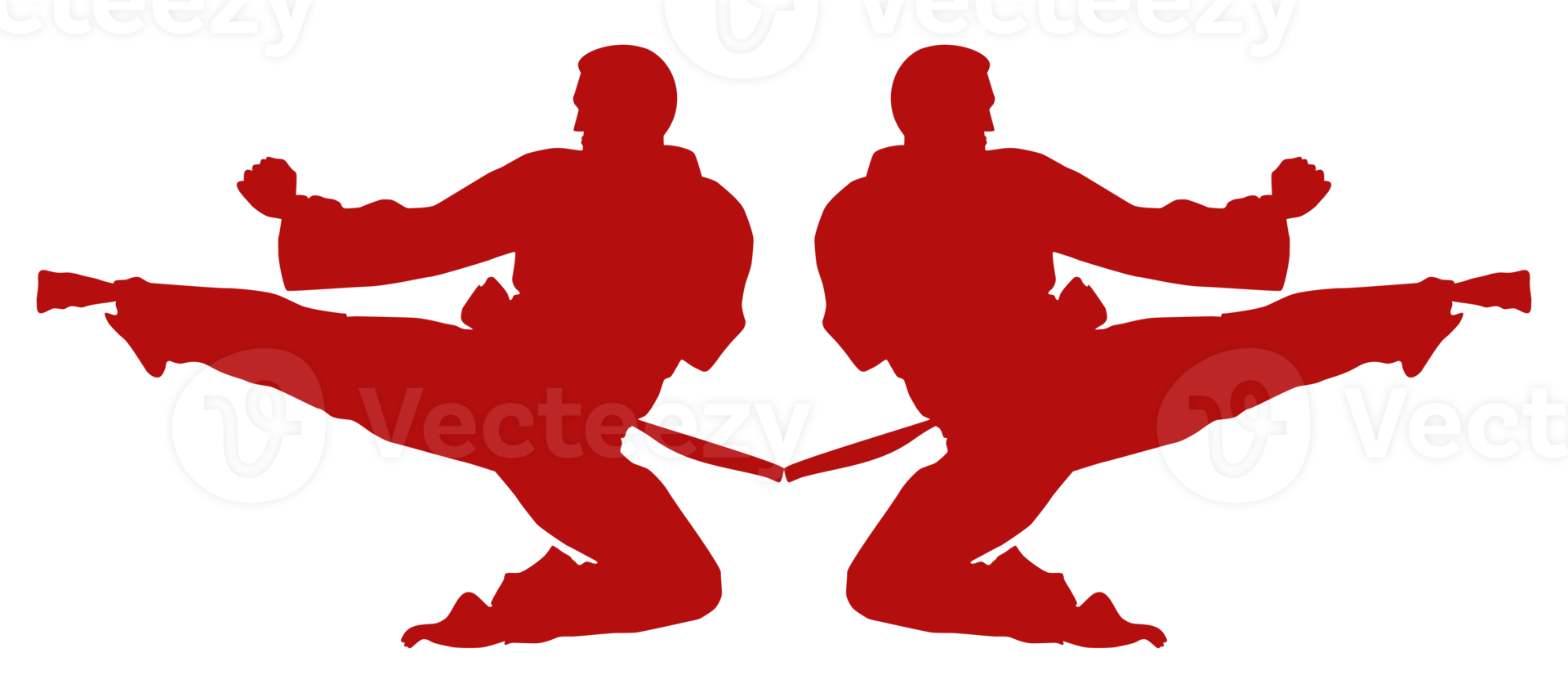 Silhouette of Martial Artist Kick, Taekwondo, Karate, Pencak Silat, Kungfu, for Logo or Graphic Design Element. Format PNG