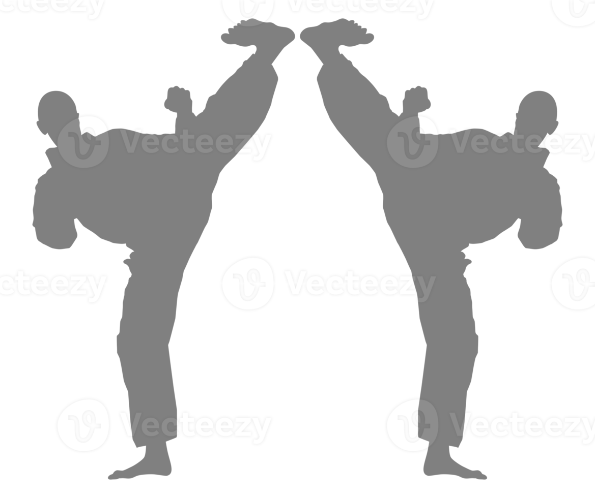 Silhouette of Martial Artist Kick, Taekwondo, Karate, Pencak Silat, Kungfu, for Logo or Graphic Design Element. Format PNG