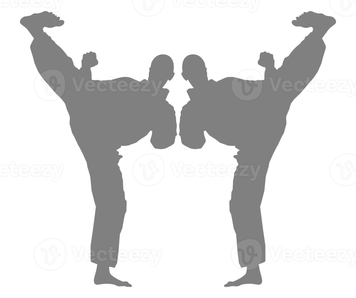 Silhouette of Martial Artist Kick, Taekwondo, Karate, Pencak Silat, Kungfu, for Logo or Graphic Design Element. Format PNG