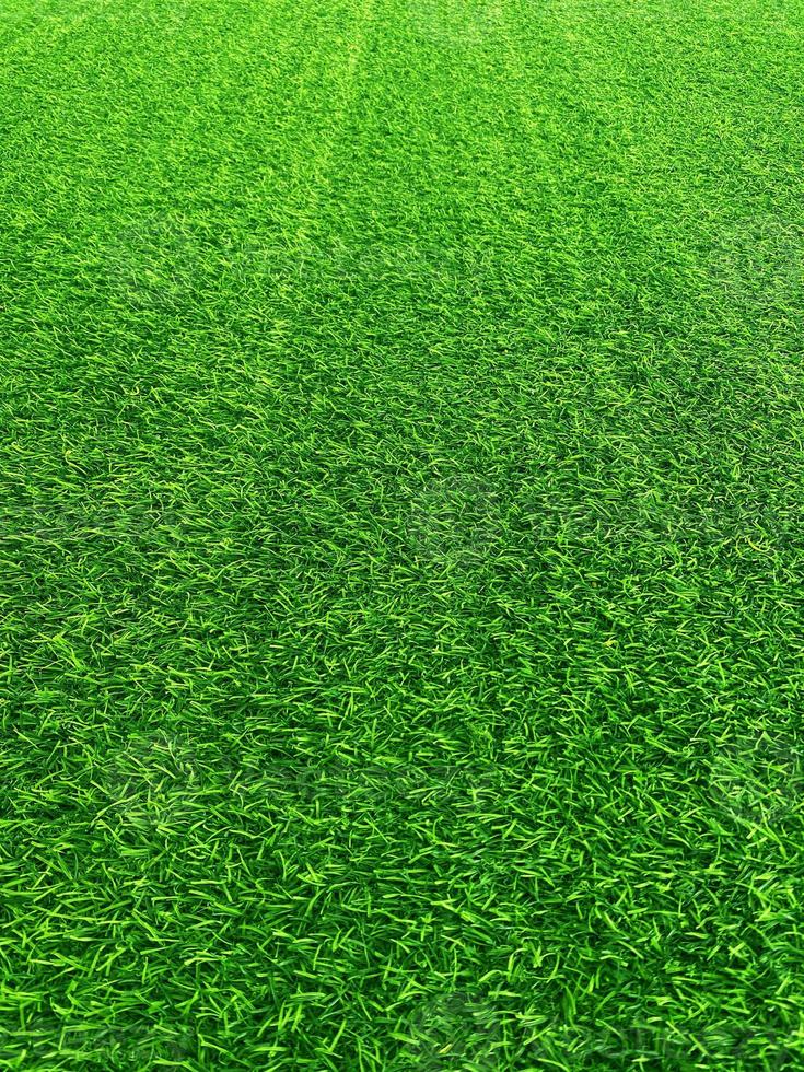 Green grass texture background grass garden concept used for making green background football pitch, Grass Golf, green lawn pattern textured background.. photo