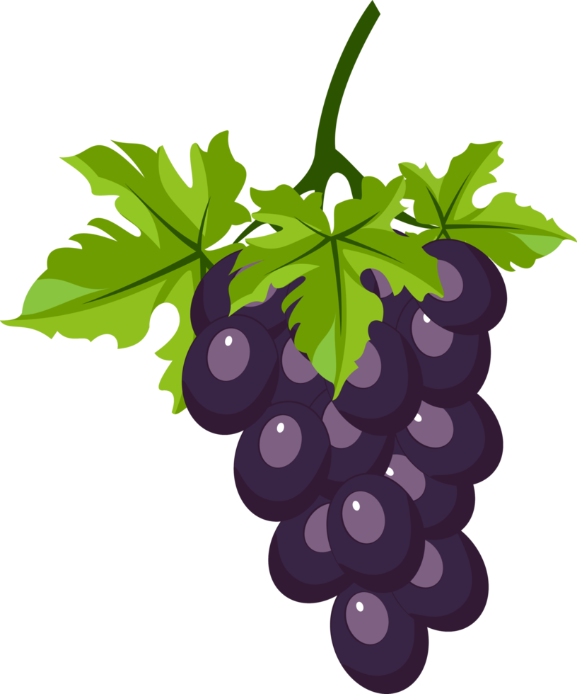 Frais violet les raisins. violet les raisins dessin animé png