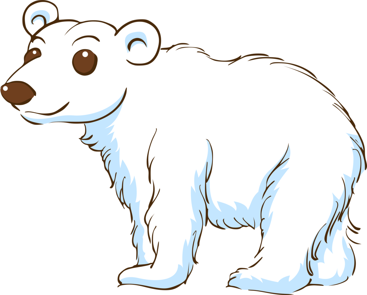 White bear png graphic clipart design