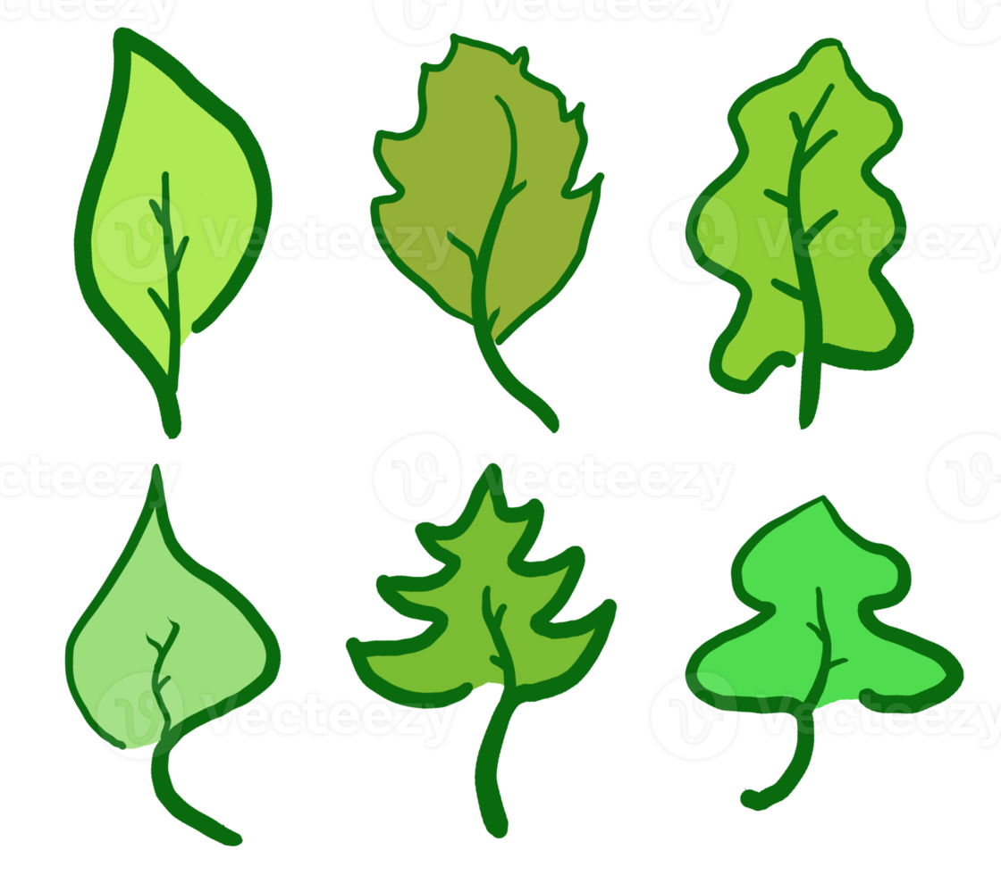 Hand drawn leaves illustration set png