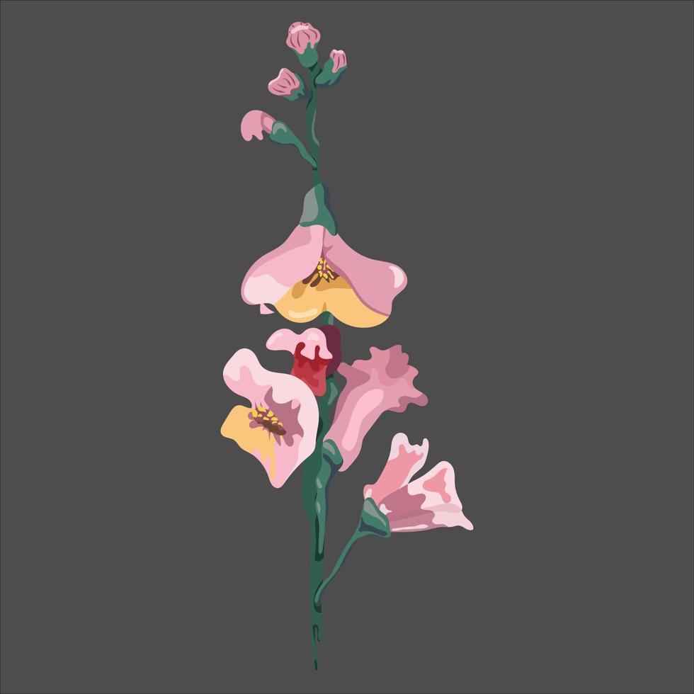 pink flower. collection of leaves, branches. Botanical illustration isolated on dark background. vector