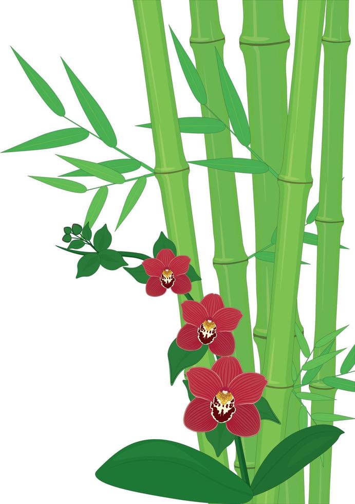 verde bambú tallos y brillante orquídea flores composición vector ilustración