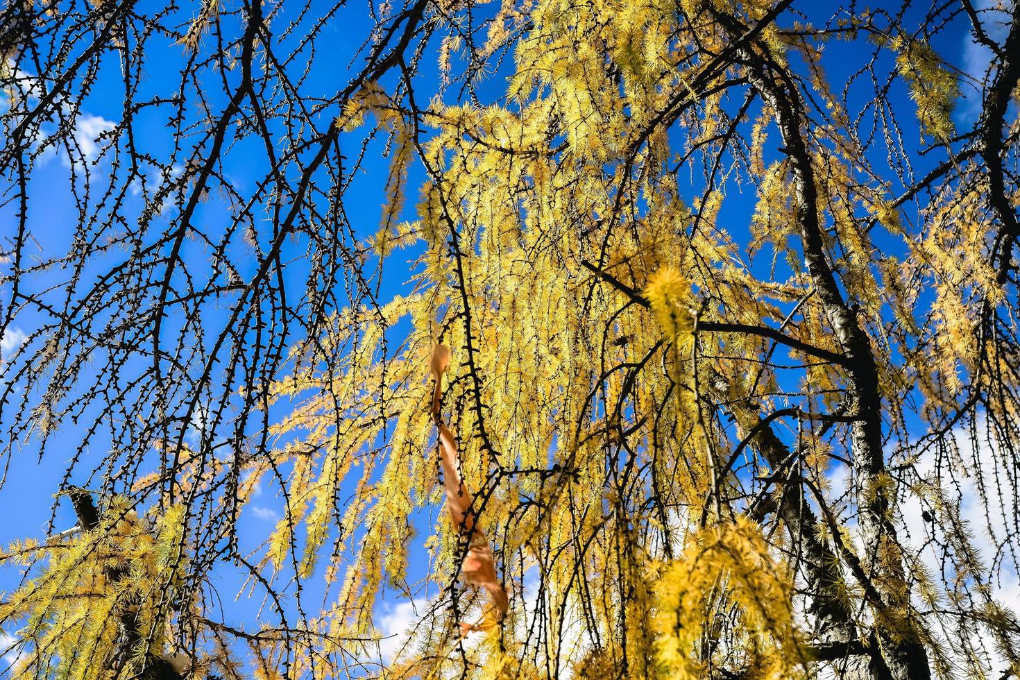 Spectacular scenery in the high mountains of western Sichuan, China, with different seasons photo