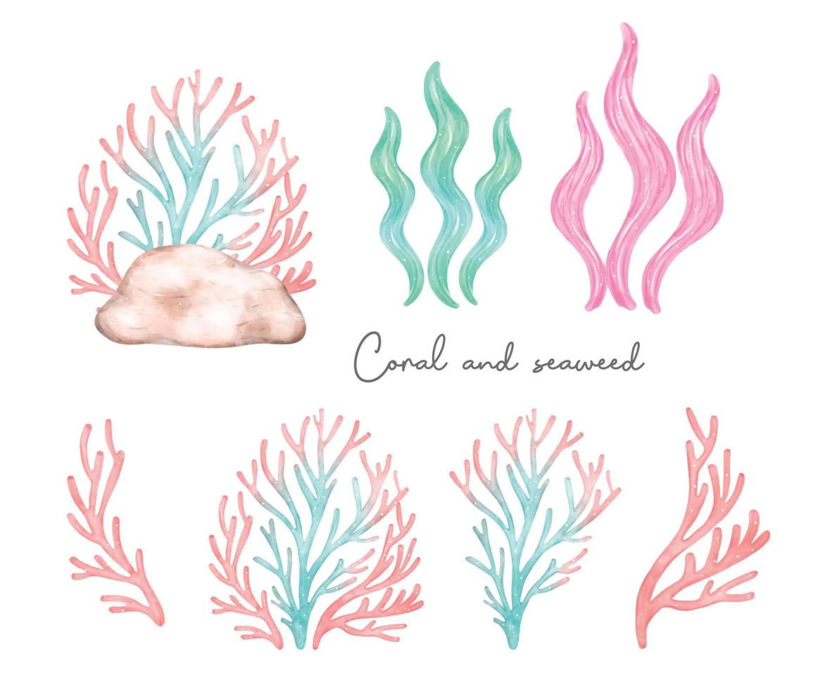 Cute colorful coral reef and seaweed pastel watercolor collection, cartoon children hand painting illustration vector