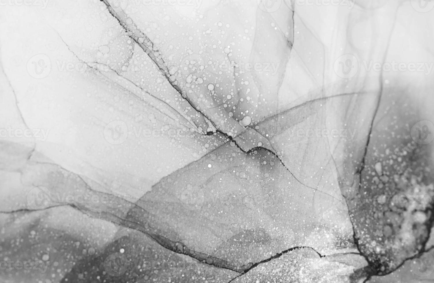 Abstract black and white background, wallpaper. Mixing acrylic paints. Modern art. Alcohol ink colors translucent. Alcohol Abstract contemporary art fluid. photo