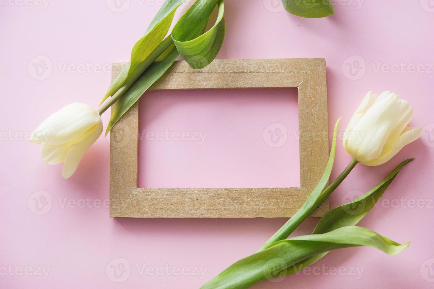 Yellow Tulip flowers are arranged on a pink background. Flowers on a close-up photo frame. Spring concept. Women's day.
