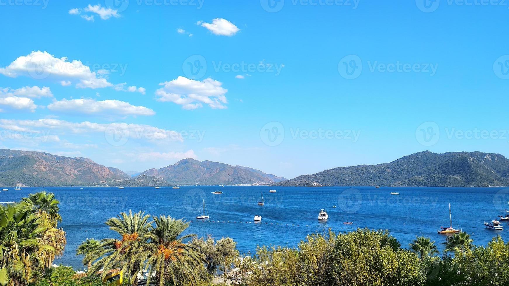 hermosa marina con mar palma arboles y montañas, verano fondo, vacaciones fondo, Copiar espacio foto