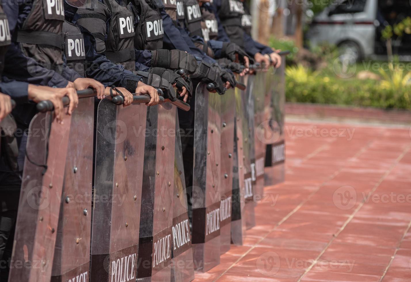 Riot police control the crowd. photo