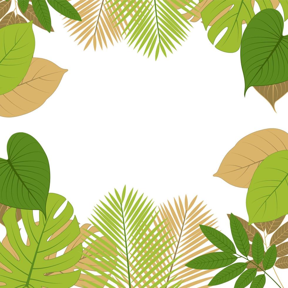 A frame of tropical leaves with a white background vector