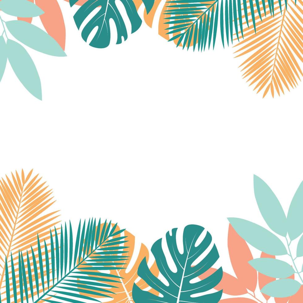 Tropical leaves frame on a white background vector