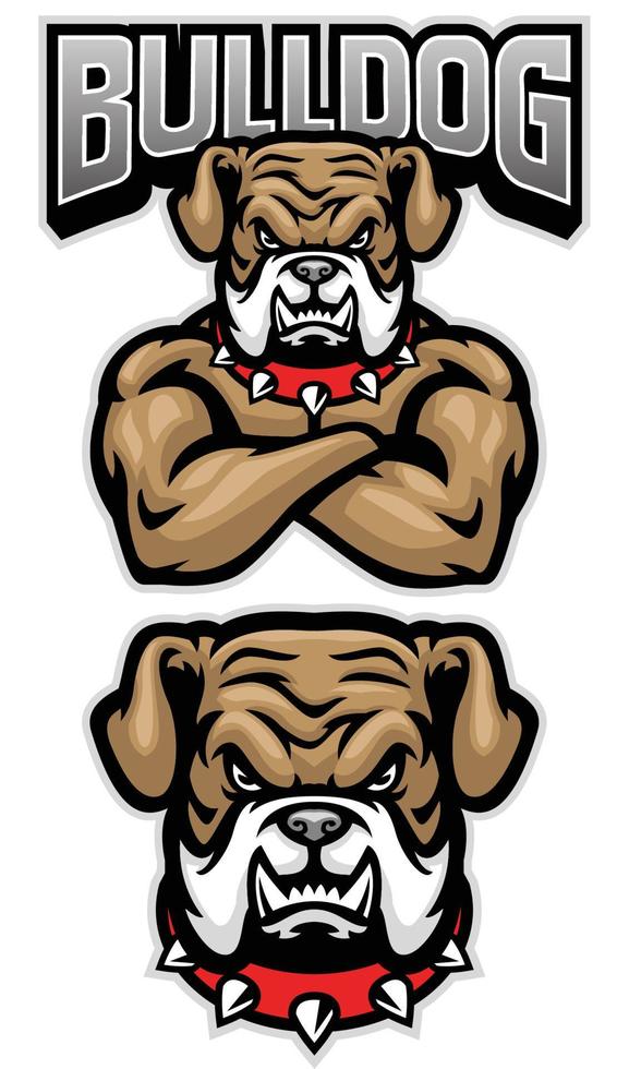 fierce bulldog mascot crossed arm pose vector