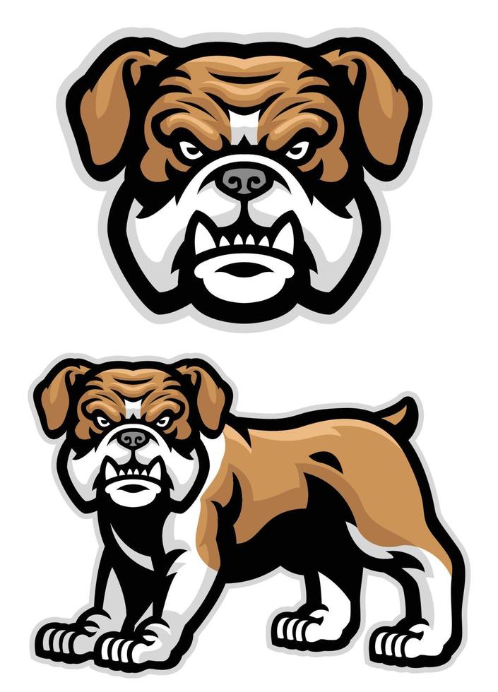 conjunto de Inglés buldog mascota vector