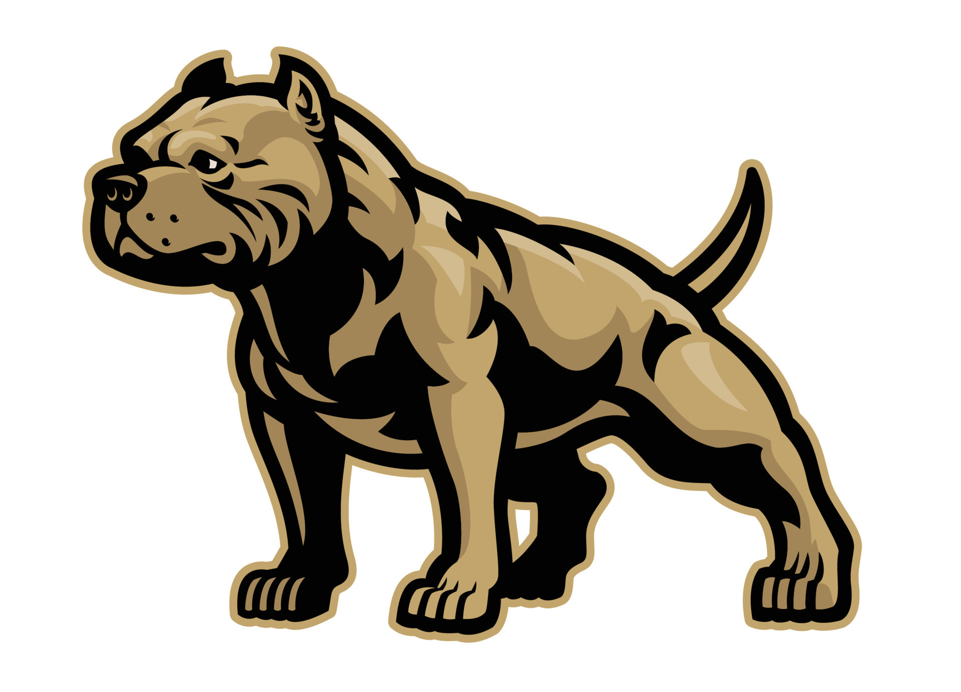 Pitbull Dog Vector
 muscle athletic body of pitbull dog Vector Art at Vecteezy
