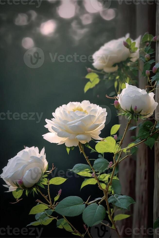 grupo de blanco rosas sentado en parte superior de un de madera cerca. generativo ai. foto