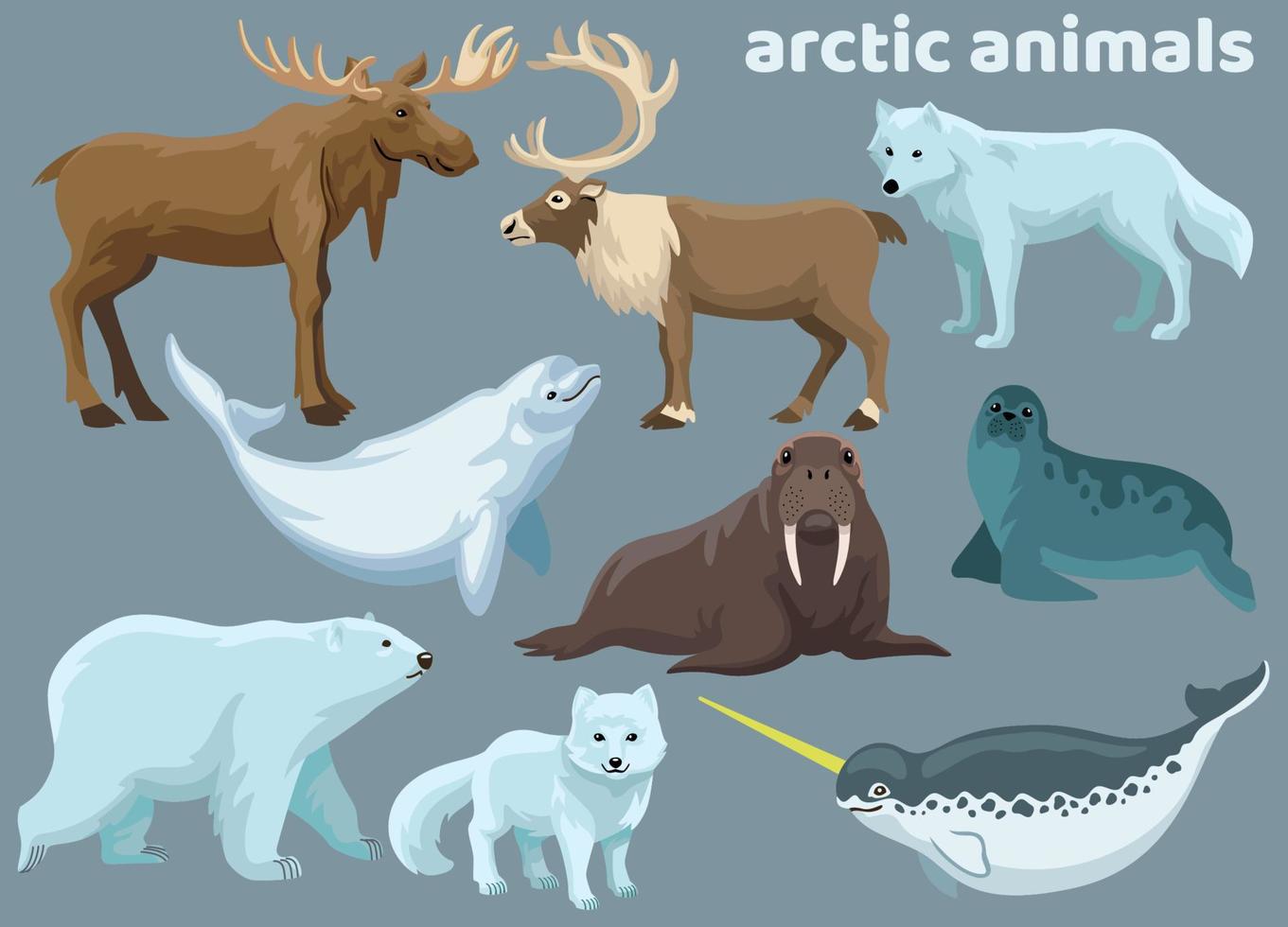 set bundle of actic animals vector