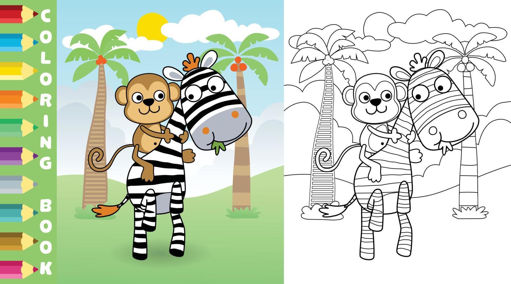 Vector cartoon of funny monkey riding zebra, coloring page or book