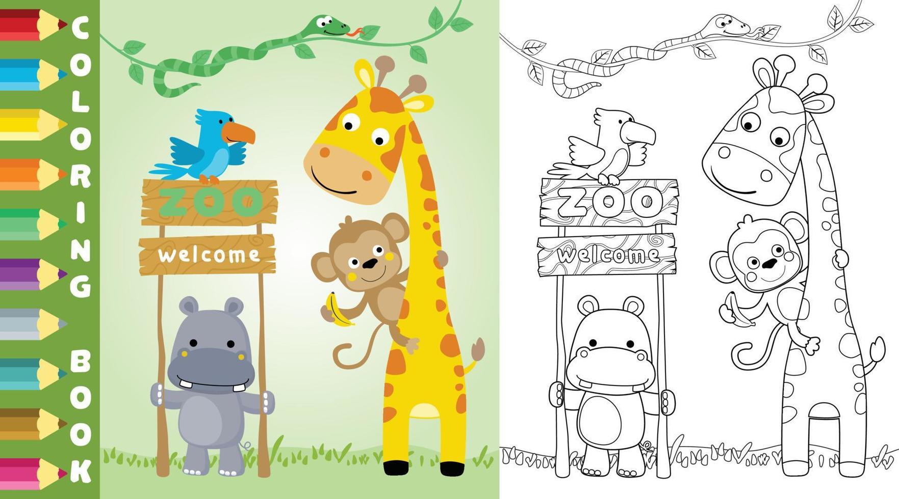 Vector cartoon of funny animals in the zoo, coloring page or book