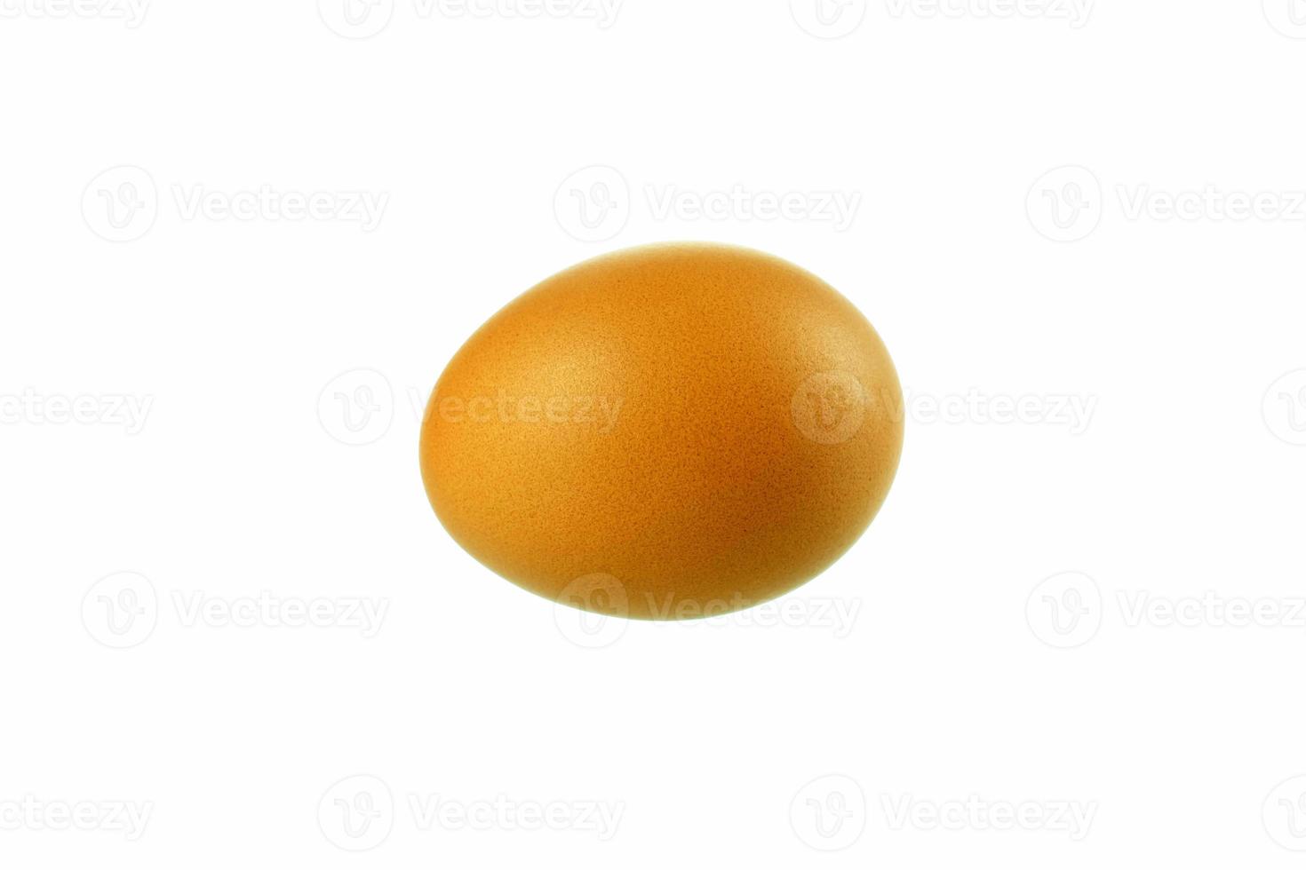 Chicken Egg Isolated on White Background. photo