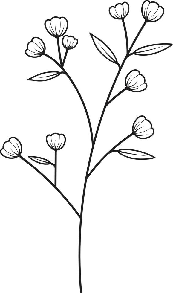 Hand drawn curly grass and flowers vector