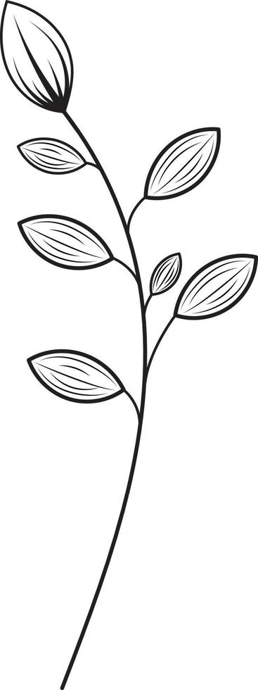 Hand drawn curly grass and flowers vector