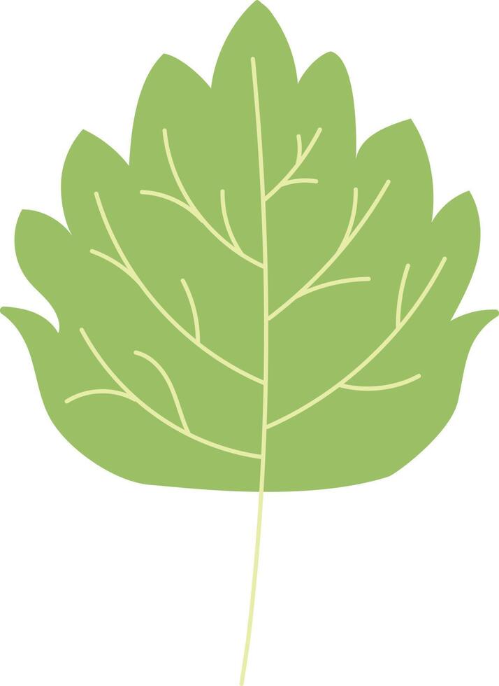 vector de hoja verde