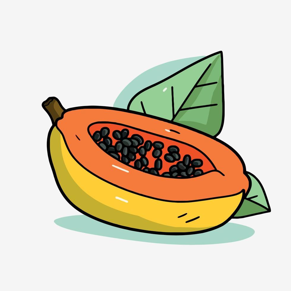 papaya fruit cut in half vector