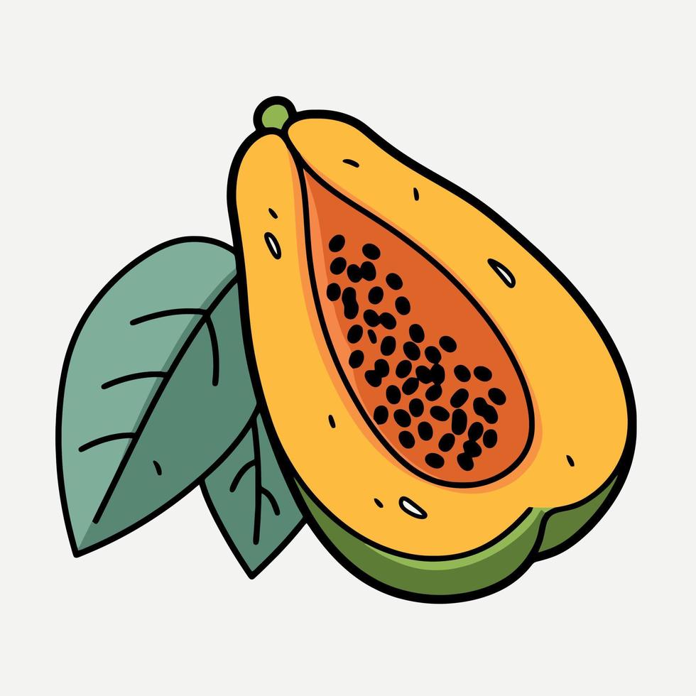 papaya Fruta cortar en medio vector